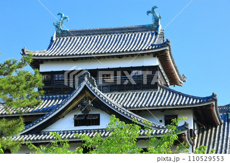 【島根県】快晴下の松江城天守閣（国宝） 110529553