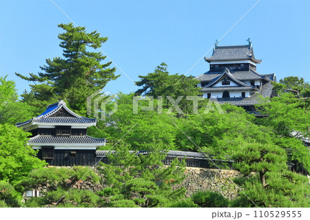 【島根県】快晴下の松江城天守閣と南櫓(国宝) 【島根県】快晴下の松江城天守閣と南櫓(国宝) 110529555