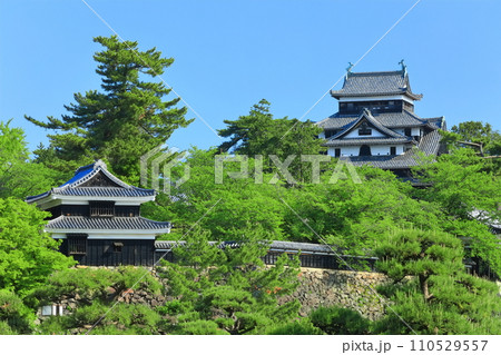 【島根県】快晴下の松江城天守閣と南櫓（国宝） 110529557