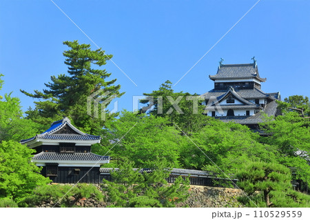 【島根県】快晴下の松江城天守閣と南櫓(国宝) 【島根県】快晴下の松江城天守閣と南櫓(国宝) 110529559