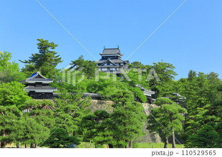 【島根県】快晴下の松江城天守閣と南櫓(国宝) 【島根県】快晴下の松江城天守閣と南櫓(国宝) 110529565