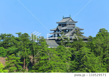【島根県】快晴下の松江城天守閣(国宝) 【島根県】快晴下の松江城天守閣(国宝) 110529571