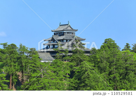 【島根県】快晴下の松江城天守閣(国宝) 【島根県】快晴下の松江城天守閣(国宝) 110529581
