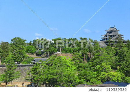 【島根県】快晴下の松江城天守閣(国宝) 【島根県】快晴下の松江城天守閣(国宝) 110529586