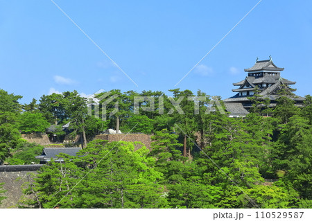 【島根県】快晴下の松江城天守閣（国宝） 110529587