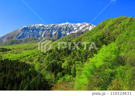 【鳥取県】鍵掛峠から見た冠雪した大山と新緑　 110529631