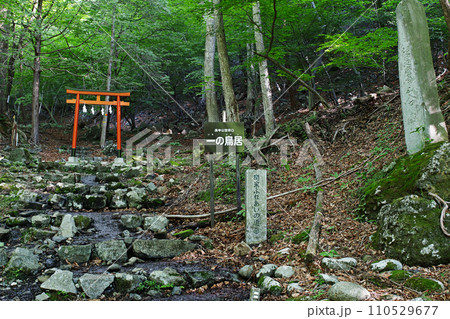 庚申山の登山口 一の鳥居 庚申山の登山口 一の鳥居 110529677
