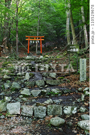 庚申山の登山口 一の鳥居 庚申山の登山口 一の鳥居 110529678