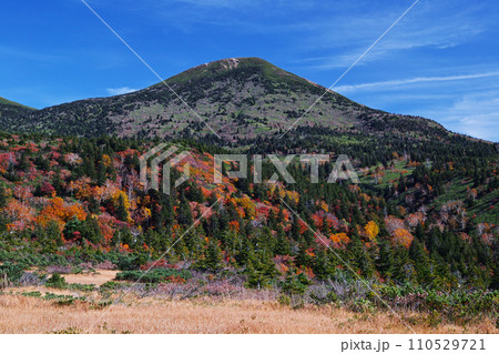 八甲田山西側の登山道から見た八甲田山（大岳） 110529721