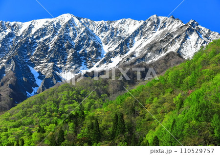 【鳥取県】鍵掛峠から見た冠雪した大山と新緑　 110529757