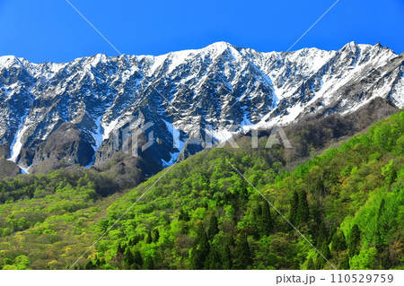 【鳥取県】鍵掛峠から見た冠雪した大山と新緑　 110529759