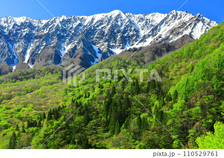 【鳥取県】鍵掛峠から見た冠雪した大山と新緑　 110529761