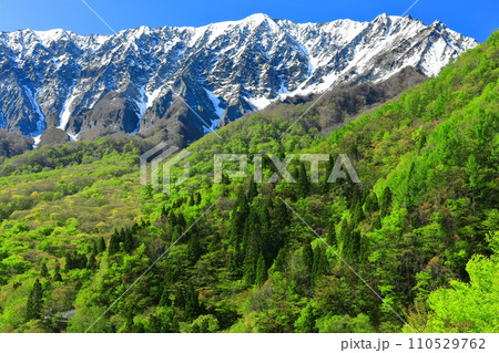 【鳥取県】鍵掛峠から見た冠雪した大山と新緑　 110529762