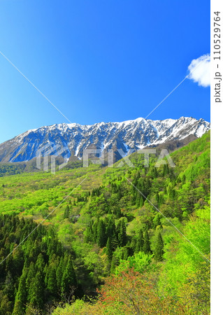 【鳥取県】鍵掛峠から見た冠雪した大山と新緑　 110529764