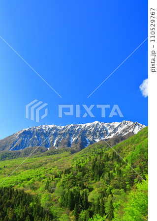 【鳥取県】鍵掛峠から見た冠雪した大山と新緑　 110529767