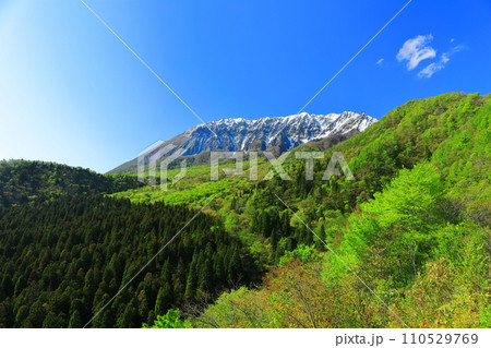 【鳥取県】鍵掛峠から見た冠雪した大山と新緑　 110529769