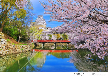 【兵庫県】姫路城内堀と満開の桜 110530568