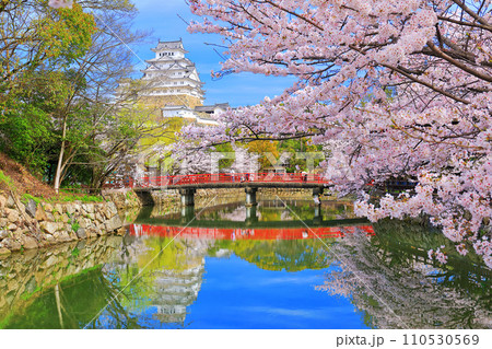 【兵庫県】姫路城内堀と満開の桜 【兵庫県】姫路城内堀と満開の桜 110530569