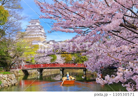 【兵庫県】満開の桜と姫路城の和船 110530571