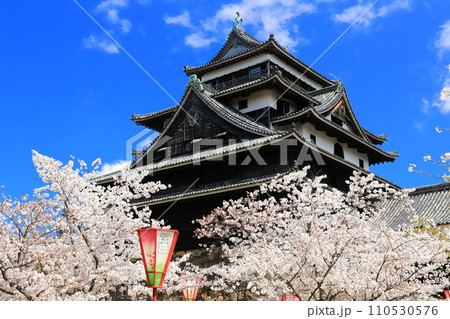【島根県】桜が満開の松江城天守閣(国宝) 【島根県】桜が満開の松江城天守閣(国宝) 110530576