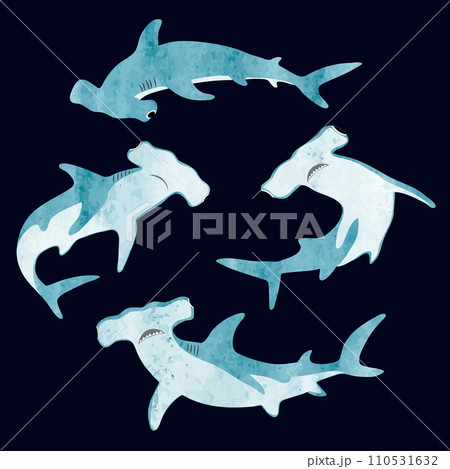 Watercolor hammerhead shark set. Vector illustration 110531632