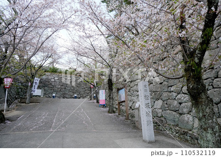 三重県松阪市_松坂城裏門跡付近風景3_2023_4月 110532119