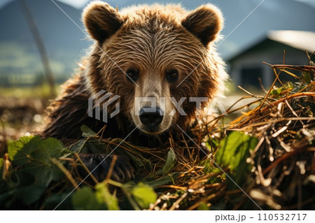 Brown bear fishing in a river. Generative AI 110532717