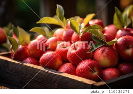 Organic apples in a wooden box. Generative AI 110533271