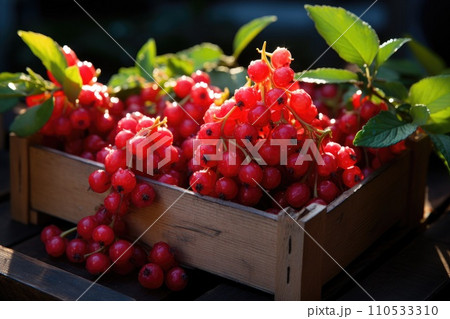 Bio red currant berries in a wooden box. Generative AI Bio red currant berries in a wooden box. Generative AI 110533310