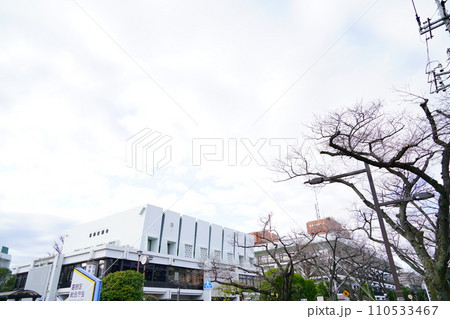 葛飾区議会 葛飾区議会 110533467