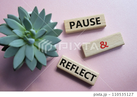 Pause and Reflect symbol. Concept words Pause and Reflect on wooden blocks. Beautiful pink background with succulent plant. Business and Pause and Reflect concept. Copy space. 110535127