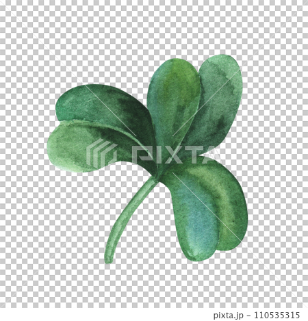 Four-leaf clover. Watercolor illustration isolated on white background. Saint St Patrick Day Shamrock good luck symbol. For decoration, flyers, design 110535315