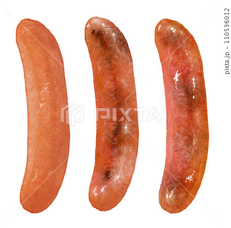水彩で描いたウインナーソーセージ 110536012