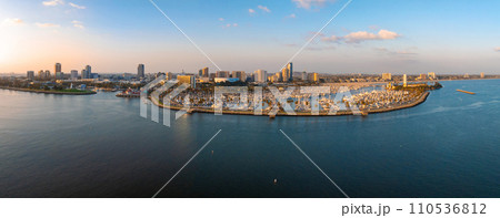Aerial panoramic view of the Long Beach coastline, harbour, skyline and Marina in Long Beach with Palm Trees,. Beautiful Los Angeles. 110536812
