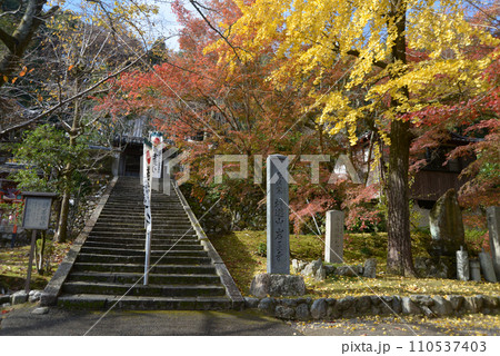 岩屋寺　境内入口に石段と石碑　京都市山科区 110537403