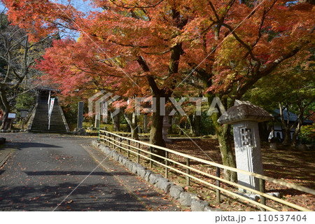 岩屋寺　境内入口の参道　京都市山科区 110537404