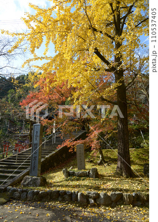 岩屋寺 境内入口の石段と石碑 京都市山科区 岩屋寺 境内入口の石段と石碑 京都市山科区 110537405