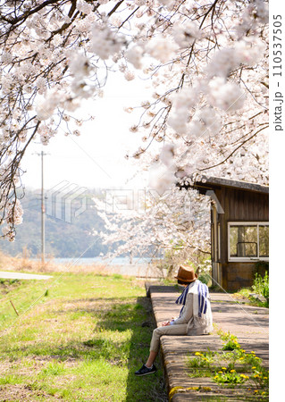 能登の廃線駅に咲く桜 能登の廃線駅に咲く桜 110537505