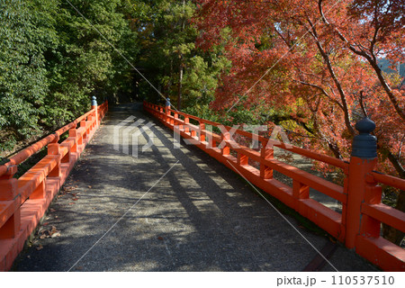 本圀寺 琵琶湖疏水に掛かる参道の橋 京都市山科区 本圀寺 琵琶湖疏水に掛かる参道の橋 京都市山科区 110537510