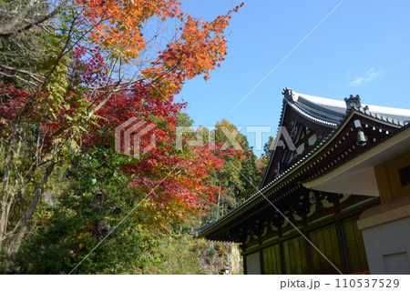 本圀寺 大本堂 京都市山科区 本圀寺 大本堂 京都市山科区 110537529