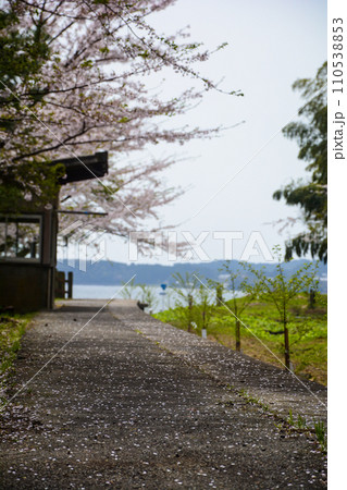 能登の廃線駅に咲く桜 能登の廃線駅に咲く桜 110538853