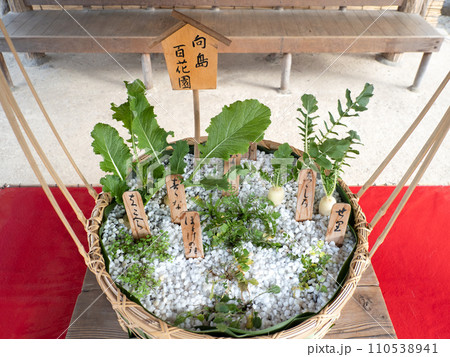 春の七草 七草かご 春の七草 七草かご 110538941