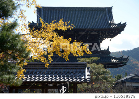 秋の清涼寺　仁王門とイチョウの黄葉　京都市右京区嵯峨 110539578