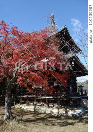 秋の清涼寺　多宝塔　京都市右京区嵯峨 110539607