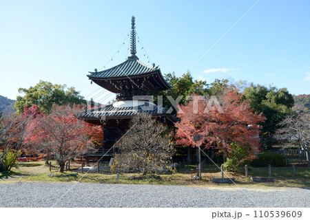 秋の清涼寺 多宝塔 京都市右京区嵯峨 秋の清涼寺 多宝塔 京都市右京区嵯峨 110539609
