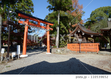 秋の上賀茂神社 鳥居と奈良神社 京都市北区 秋の上賀茂神社 鳥居と奈良神社 京都市北区 110539652