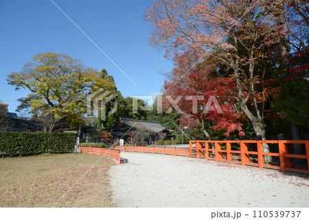 秋の上賀茂神社　境内の紅葉　京都市北区 110539737