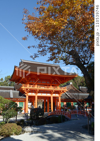 秋の上賀茂神社　楼門　京都市北区 110539746