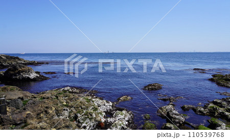 【日本】オイモノ鼻の岩場の景色（猿島　神奈川） 110539768