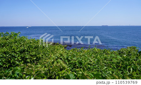 【日本】展望台から見る海の景色（猿島　神奈川） 110539769
